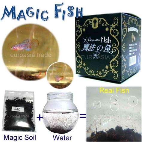 Magic Fish Taiwan Manufacturer Promotion Ts Arts Crafts