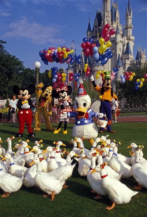 The Walt Disney World Picture Of The Day Happy 68th Anniversary