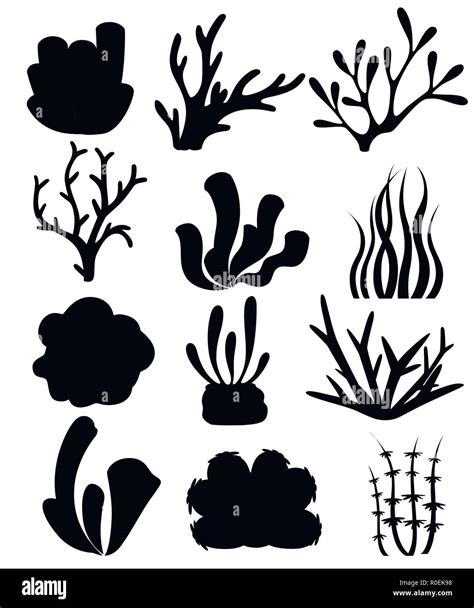 Black Silhouette Collection Of Corals And Seaweed Deep Sea Floral