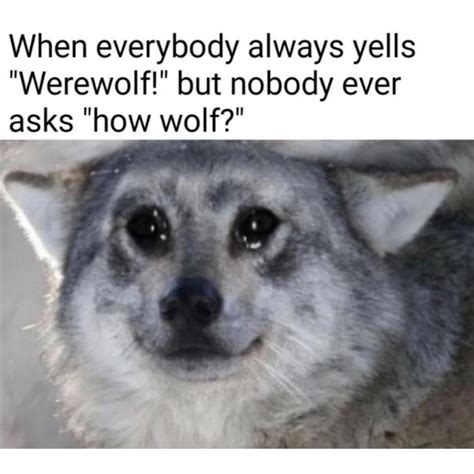 10 Wolf Memes To Have You Howling