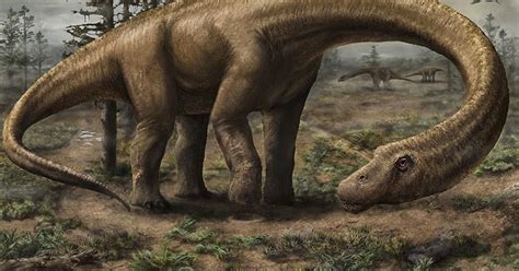 Species New To Science Paleontology 2014 Dreadnoughtus Schrani A