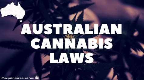 Australian Cannabis Laws Is Weed Legal In Australia