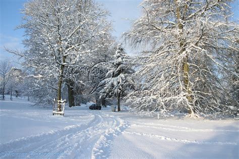 Albury Park Snow Scene Photo Wp22693