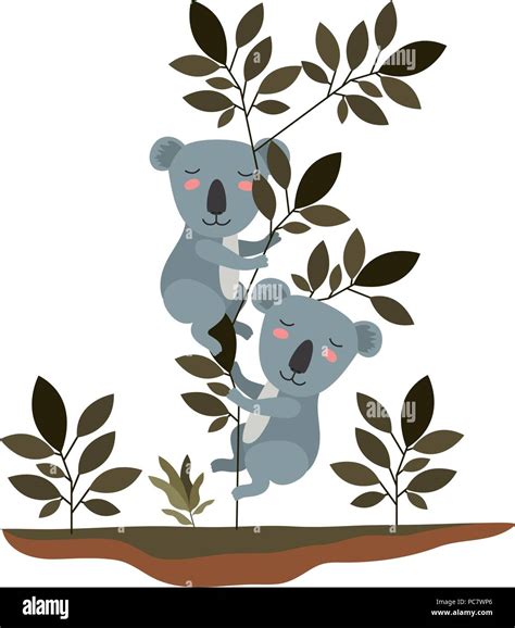 Wild Koalas Couple In The Jungle Stock Vector Image And Art Alamy
