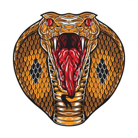 Angry King Cobra Face Premium Vector Torso Tattoos Body Art Tattoos