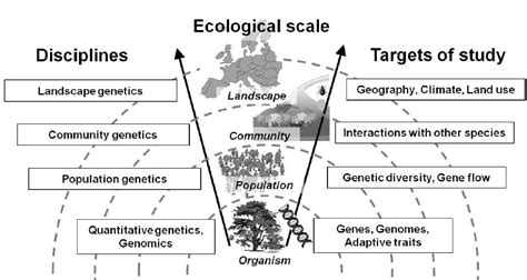Relationships Between Ecosystem Components And Genetics Studies At