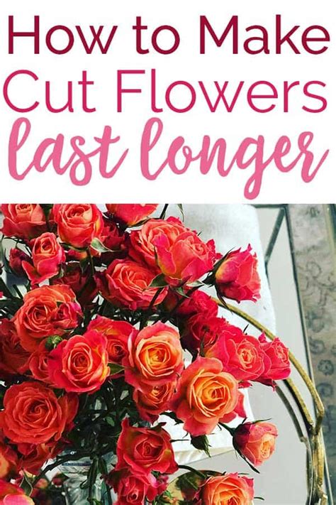 How To Make Cut Flowers Last Longer 8 Methods Tested