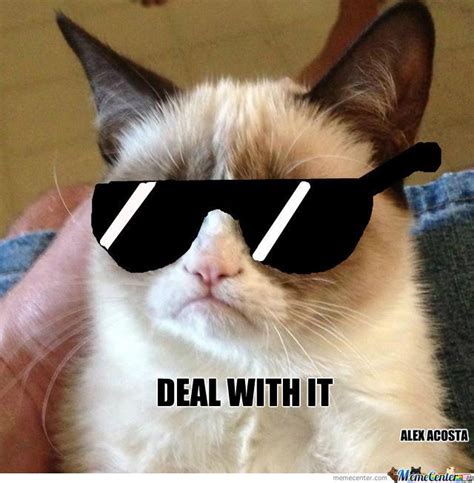 Deal With It Deal With It Meme Grumpy Cat Annoying Girls
