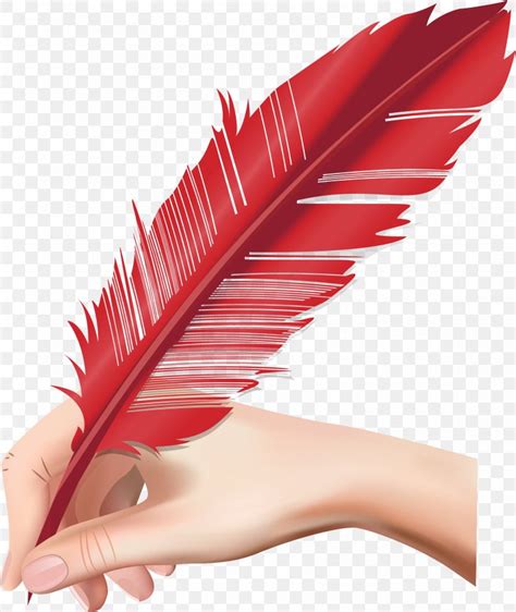 Quill Vector Graphics Clip Art Paper Pens Png 1637x1943px Quill