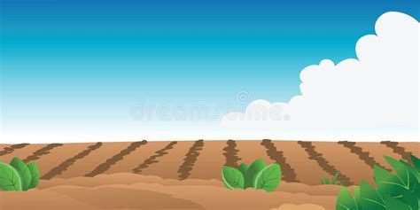 Farm Field Stock Vector Illustration Of Harvest Cartoon 29879266