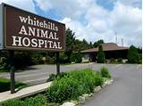 7 Hills Animal Hospital Images
