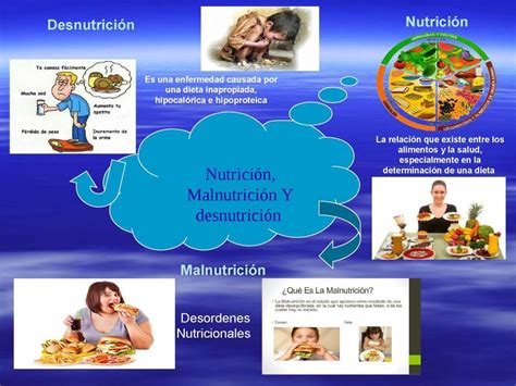 Mapa Mental De La Alimentacion Tados