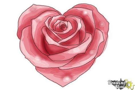 How To Draw A Heart Shaped Rose Have Fun Drawing From These 50