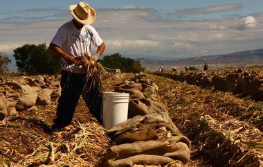 At just 14, my uncle began his first job as a fisherman. What Happened to the American Work Ethic? - Room for ...
