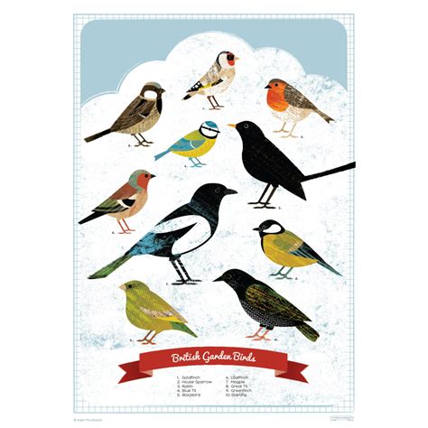 British Garden Birds Poster Ts Under £10 Posters Animal Kingdom