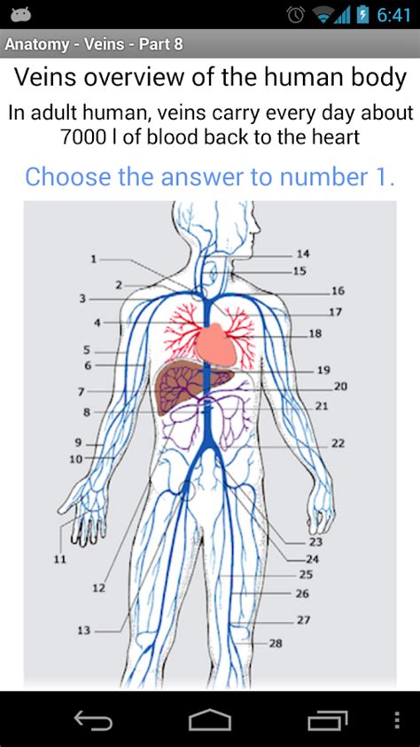 For example, the path of blood to and from the kidneys is: Anatomy - Veins - Android Apps on Google Play