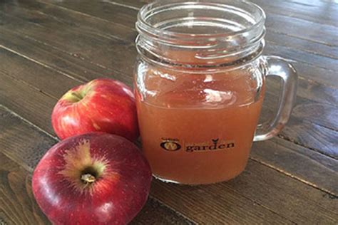 Homemade Apple Cider Recipe Ready In Just Minutes Recipe Cider