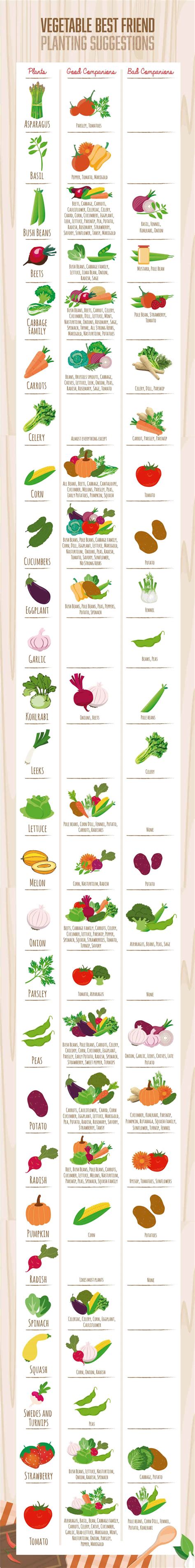 Companion Planting Chart Guide For Vegetables