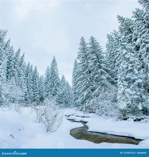 Mountain Stream In Winter Stock Image Image Of Stream 72105123
