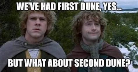55 Funniest Dune Memes You Can Find On The Internet Work Money