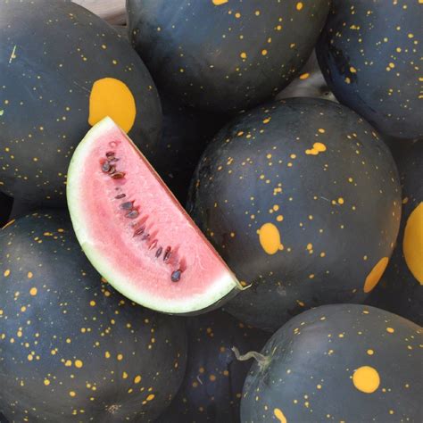 Organic Watermelon Seeds Moon And Stars Types Of Watermelon