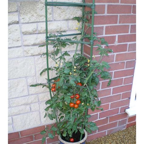 Tomato Plants Support Tomato Cages Plants
