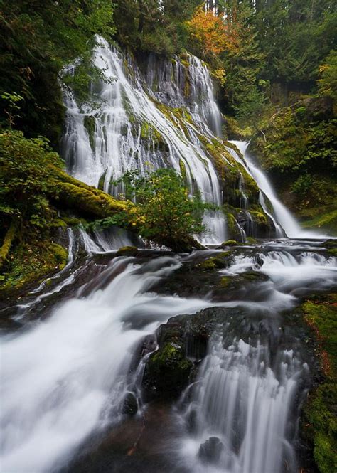 Panther Creek Falls Skamania County Washington Places To See Places