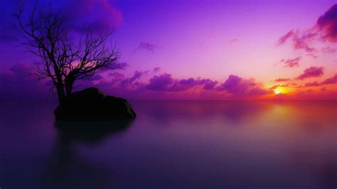 Lake With Rock And Tree In Background Of Purple Cloudy Sky And