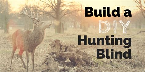 How To Build A Natural Deer Hunting Blind Know Prepare