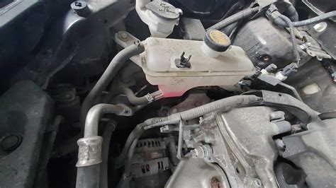 Engine Unknown Pink Car Fluid Running Low Motor Vehicle Maintenance
