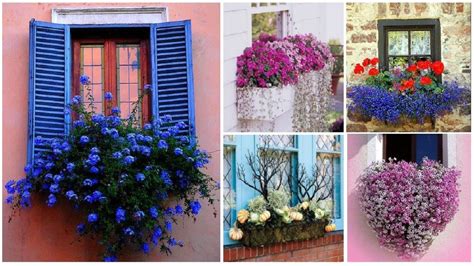 40 Window And Balcony Flower Box Ideas Garden Ideas Youtube
