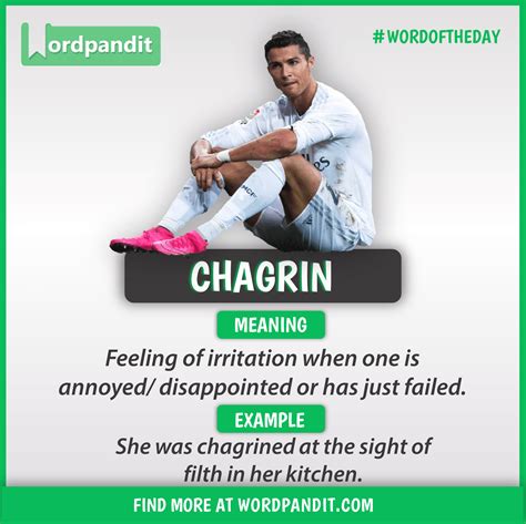 Meaning Of Chagrin Good Vocabulary Words Learn English Words English Phrases Idioms