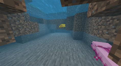 Bedrock To Java Mod Mc Axolotls Replica Concept My Xxx Hot Girl