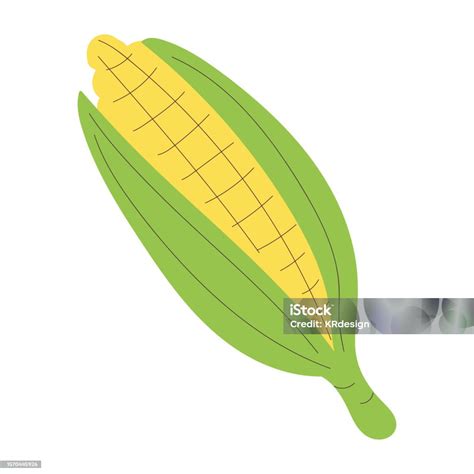 Isolated Sketch Of A Corn Flat Design Vector Stock Illustration