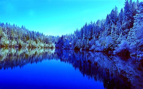 윈도우 포럼 배경 화면 Frosty Forest Lake