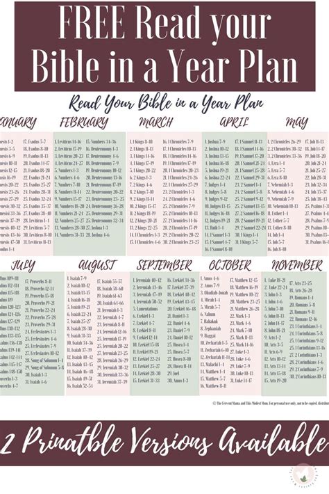 A Printable Bible Planner With The Text Free Read Your Bible In A Year Plan