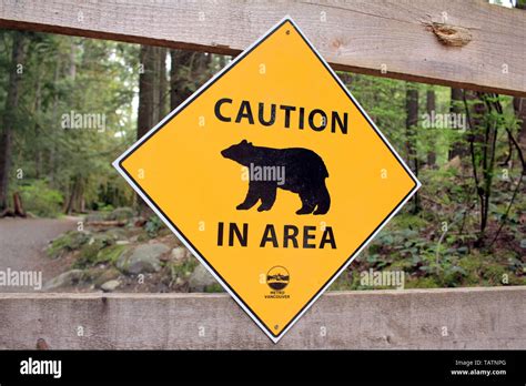 Caution Bear In Area Warning Sign Stock Photo Alamy