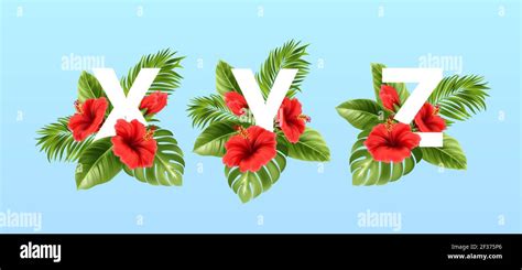 X V Z Letters Surrounded By Summer Tropical Leaves And Red Hibiscus