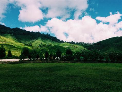 Percutian Bujet Tempat Menarik Di Cameron Highland Dunia Anakku