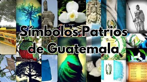 Ideas De Simbolos Patrios Guatemala Simbolos Patrios Guatemala My Xxx