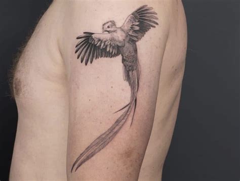 80 intriguing quetzal tattoo ideas [2023 inspiration guide]