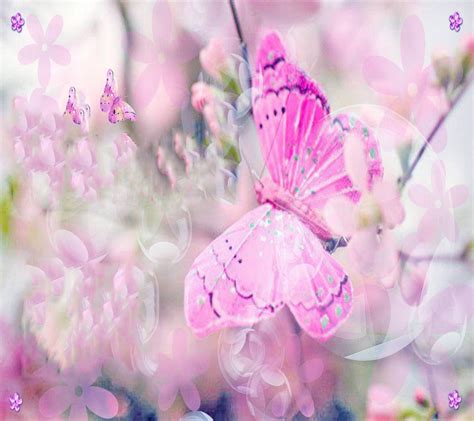 Pink Butterfly Wallpaper By Savanna Da Free On Zedge