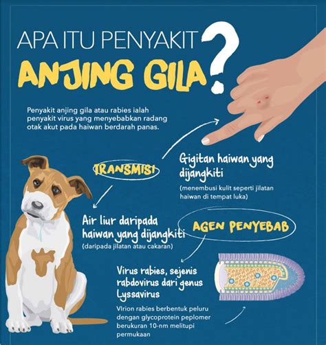 Manusia mudah terdedah dengan ancaman pelbagai penyakit bawaan air kerana terdapat air minum yang mengandungi klorin dan juga kesan karat yang memudaratkan kesihatan manusia. Penyakit Anjing Gila(Rabies) | YUK'S TROVE