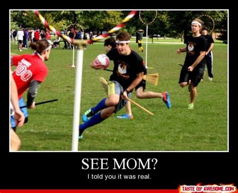 Funny Harry Potter Quidditch Meme Harry Potter Funny Harry Potter