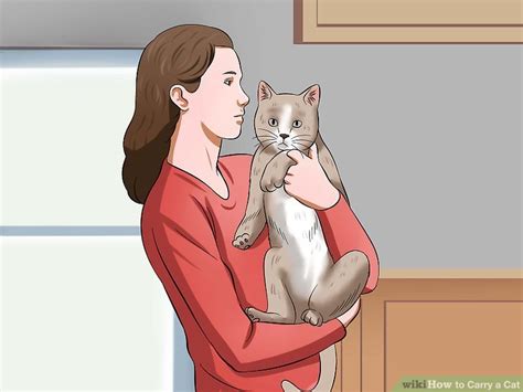 3 Ways To Carry A Cat Wikihow