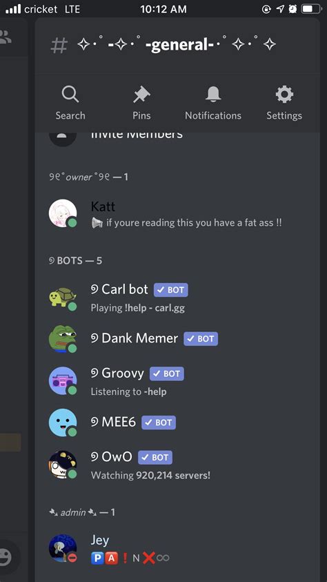 How Do I Get Admin Above The Bots On My Discord Server Mobile R