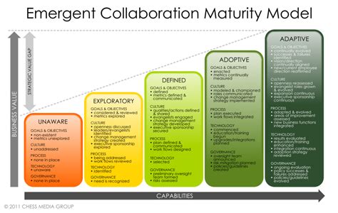 Five Process Level Of Capability Maturity Model Integ