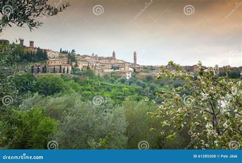 Panoramic View Of Montalcino Tuscany Italy Stock Photo Image Of