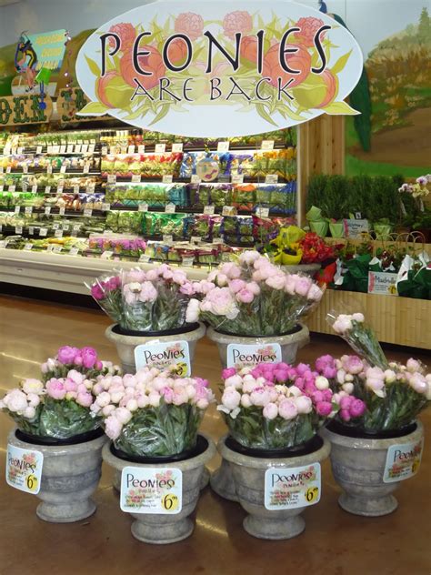 We did not find results for: More We J'adore: Peonies!