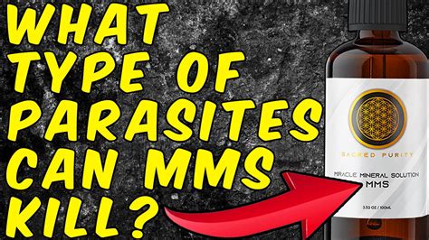 What Type Of Parasite Can Mms Miracle Mineral Solution Kill